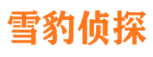 江城市婚外情调查